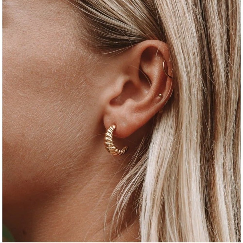 NWB Gold Twisted Hoop Earrings - Women Jewelry Earrings